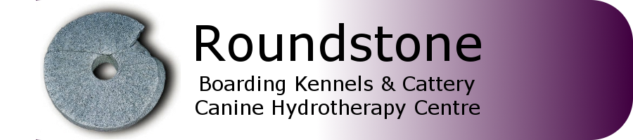 Roundstone Logo